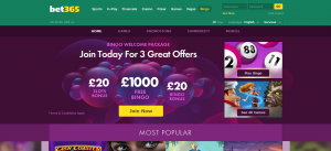bet365 bingo